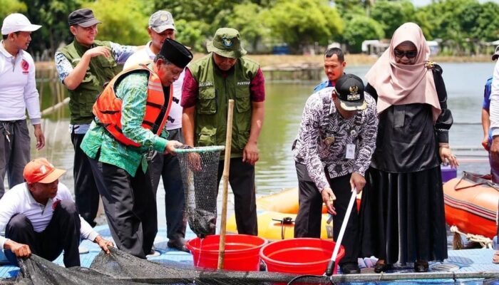 Kampung LEBAR Pinang Panen Raya 1 Kuintal Ikan Lele
