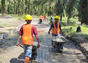 Dambaan Wujudkan Impian Warga Desa Gudang Garam Serdang Bedagai Bangun Jalan Rigid Beton