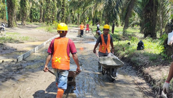 Dambaan Wujudkan Impian Warga Desa Gudang Garam Serdang Bedagai Bangun Jalan Rigid Beton