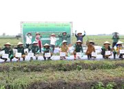 Pj Sekda Usman Asshiddiqi Qohara: Pemprov Banten Dorong Pengembangan Produksi Bawang Merah