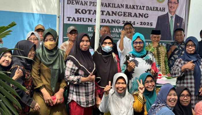 Masalah Pohon Tumbang, Menjadi Momok yang Menakutkan Bagi Warga di Musim Penghujan