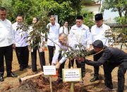 Pj Gubernur A Damenta: Pemprov Banten Komitmen Dukung Swasembada Pangan Nasional