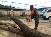 Respon cepat Koramil 05/Balaraja Evakuasi Pohon Tumbang di Jalan Baru Sentiong – Balaraja