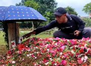 Pilu, Wanita di Pamulang Tangsel Meninggal Dunia Usai Antri Mendapatkan Gas Melon