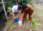 Sungai Bedagai Tercemar Limbah, Diduga Berasal Dari Pabrik Tapioka di Serdang Bedagai