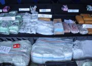 BNN Musnahkan Barbuk Narkotika, Bukti Transparansi Pemberantasan