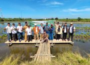 Hari Bumi 2025 IKPP Tangerang Sinergi dengan Pemkab Tangerang Tanam Mangrove Jenis Langka