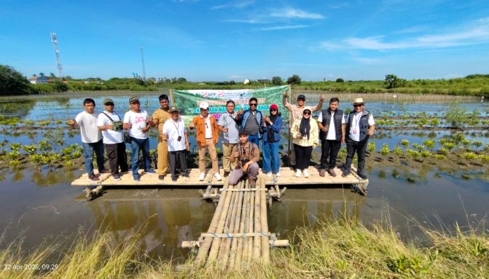 Hari Bumi 2025 IKPP Tangerang Sinergi dengan Pemkab Tangerang Tanam Mangrove Jenis Langka
