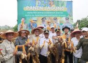 Intensifikasi Lahan, Gubernur Banten Andra Soni: Untuk Menuju Swasembada Pangan