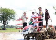 Presiden RI Buka Gerakan Tanam Padi Serentak di 14 Provinsi