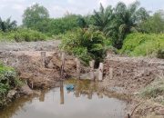 Tanggul Sungai Jebol di Pematang Kuala Sergai, Air Laut Genangi Sawah dan Jalan Desa