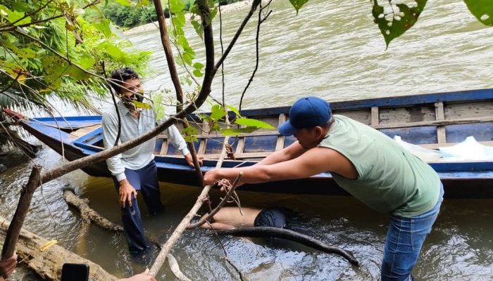 Karyawan PT Indra Karya Ditemukan Meninggal Dunia Setelah Terseret Arus Sungai Aek Bilah, Tapanuli Selatan