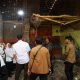 Implementasi Enam SPM Bidang Perkim, Ketua TP Posyandu Provinsi Banten Tinjau Rumah Roboh di Kasemen