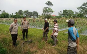 Realisasikan Ketahanan Pangan, Polsek Panongan Libatkan Warga