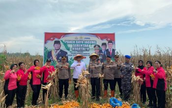Dipimpin Presiden RI via Daring, Wakil Wali Kota Tanjungbalai Ikuti Panen Raya Nasional