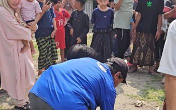 Disalurkan untuk Dua Desa, Anggota DPRD Kabupaten fraksi PAN Desi Ferawati Berkurban 1 Sapi dan 7 Kambing