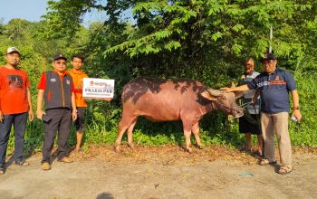 Target 2.3 Juta Paket Daging Kurban se Indonesia, PKS Banten Berkurban 603 Ekor Hewan Kurban
