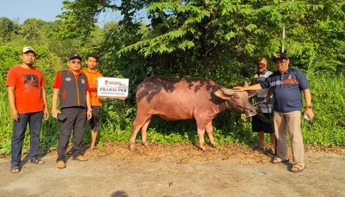 Target 2.3 Juta Paket Daging Kurban se Indonesia, PKS Banten Berkurban 603 Ekor Hewan Kurban
