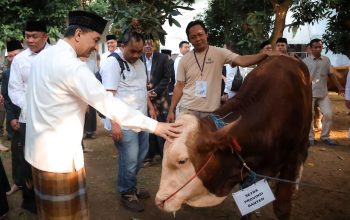 Wagub Banten Melaksanakan Sholat Idul Adha di Masjid Raya Al-Bantani