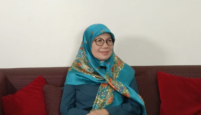 Tingkatan Pertumbuhan Ekonomi, Anggota DPRD Emuy Mulyanah Usulkan Penambahan Anggaran UMKM