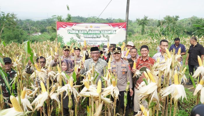 Panen Raya Jagung Kuartal II, Polres Banjar Hasilkan 6 Ton