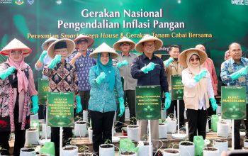 Ketua TP PKK Provinsi Banten Tinawati Andra Soni Ajak Ibu Rumah Tangga Memaksimalkan Pekarangan Rumah