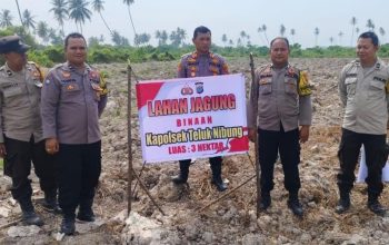 Dukung Ketahanan Pangan Nasional, Polsek Teluk Nibung Tinjau Lahan Jagung