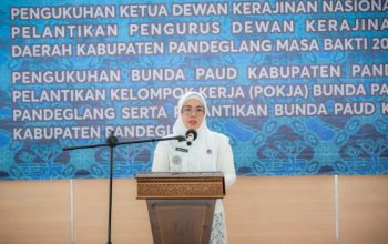 Gebrakan Baru Dekranasda Pandeglang! Kolaborasi Perempuan Bangkitkan UMKM dan PAUD Banten 1
