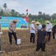 Kapolsek Kresek Dampingi Kapolresta Tangerang Tanam Jagung