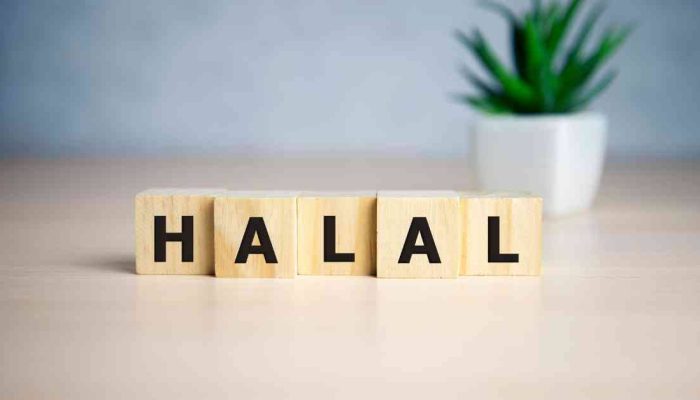 Indonesia Didorong Jadi Produsen Produk Halal Dunia