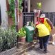 DBD di Tangsel Capai 487 Kasus, Dinkes Ajak Masyarakat Garda Depan Berantas Sarang Nyamuk