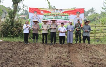 Dukung Swasembada Pangan Nasional, Polresta Tangerang Tanam Jagung Serentak