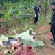 Polsek Cijeungjing Sigap Selidiki Kecelakaan Kereta Api di Bojongmengger