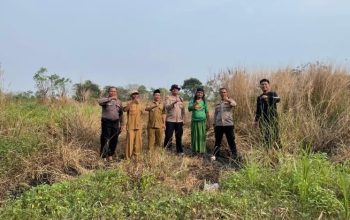 Samapta dan Jatanras Polresta Tangerang Sulap Padang Ilalang Jadi Lahan Siap Tanam Jagung