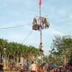 Lomba Panjat Pinang Warnai HUT RI ke 80 di Kampung Panggang Desa Bunar