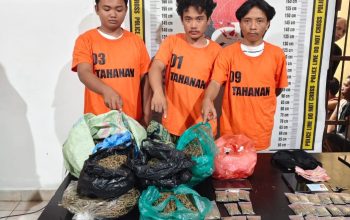 Polres Simalungun Amankan 2,5 Kg Ganja Dari 5 Tersangka di Kawasan Wisata Danau Toba
