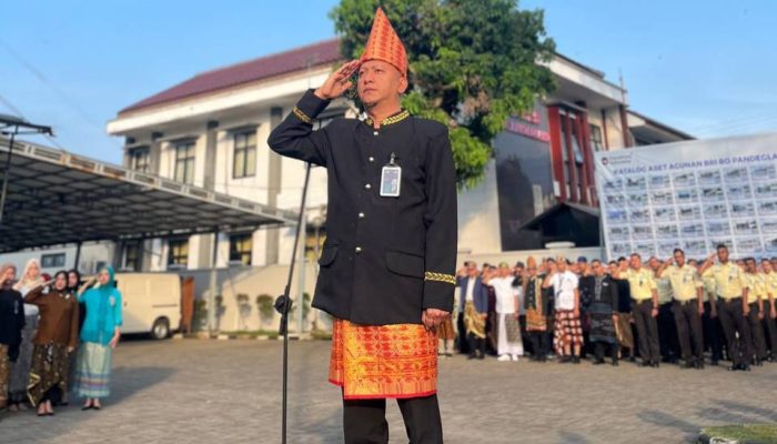 HUT RI, Pegawai BRI Pandeglang Gunakan Pakaian Wastra Nusantara