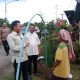 DPRD Sergai Apresiasi Respons Cepat Pemkab Tangani Korban Puting Beliung