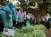 Tinawati Andra Soni Ajak Kader PKK Perkuat Pemberdayaan dan Gotong Royong