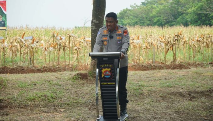 Dukung Asta Cita Presiden, Kapolresta Tangerang Panen Jagung Serentak Program Ketahanan Pangan