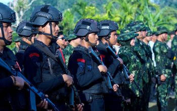 BNN RI Musnahkan 2 Hektar Lahan Ganja