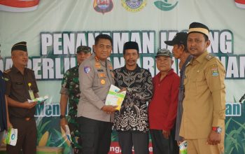 Polresta Tangerang Kembali Tanam Jagung Serentak