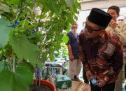 Gubernur Banten Andra Soni Dorong Inovasi Teknologi untuk Tingkatkan Produktivitas Pertanian