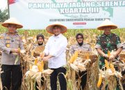 Banten Panen Raya Jagung, Wagub Ahmad Dimyati: Momentum Peningkatan Kesejahteraan Petani