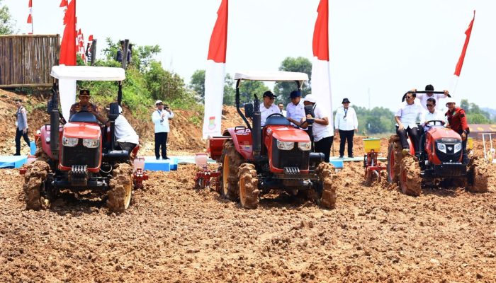 Wakil Presiden RI Tanam Jagung Kuartal IV di Tangerang Banten