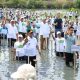 Rp 2 Triliun untuk Rehabilitasi Mangrove