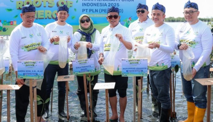 Perkuat Sabuk Hijau Pesisir, Gubernur Banten Andra Soni Ajak Masyarakat Rawat Mangrove