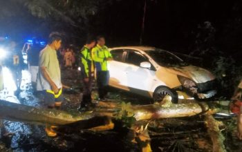 Polres Banjar Bantu Evakuasi Mobil Tertimpa Pohon Tumbang