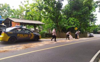 Antisipasi Kecelakaan, Polsek Pataruman Gercep Tabur Serbuk Kayu di Jalur Batulawang–Pangandaran