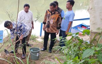 Hari Gerakan Satu Juta Pohon dan HLHN, Gerakan ‘Banten Teduh,Tangerang Sejuk’ Tanam 5.000 Pohon